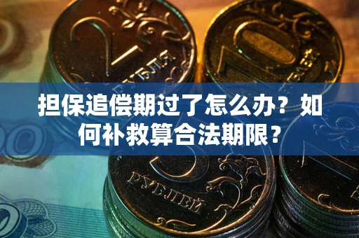 济南担保追偿期过了怎么办？如何补救算合法期限？