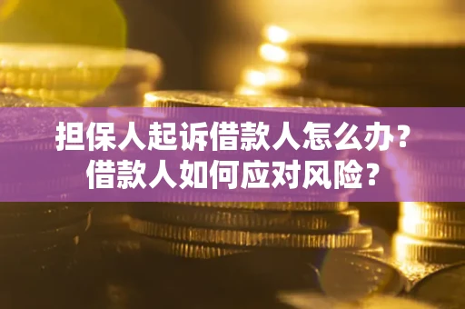 济南担保人起诉借款人怎么办？借款人如何应对风险？