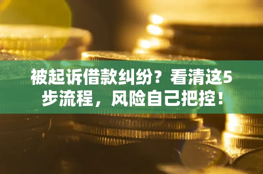 济南被起诉借款纠纷？看清这5步流程，风险自己把控！